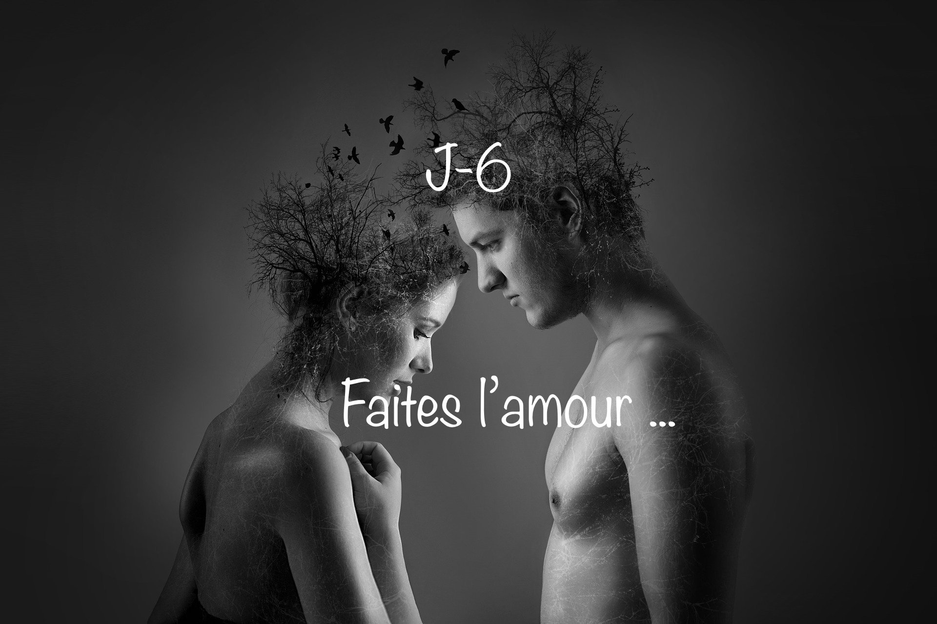 J-6 » faites l’amour »