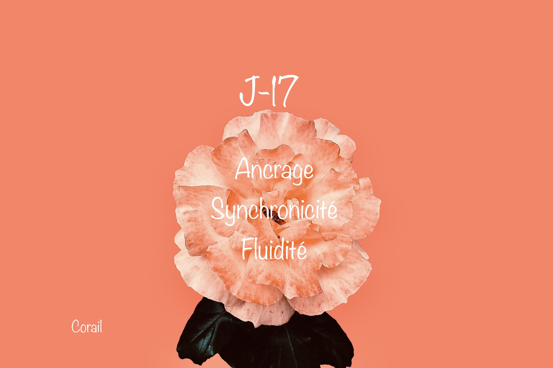 J-17 « Corail » réchauffez votre coeur…