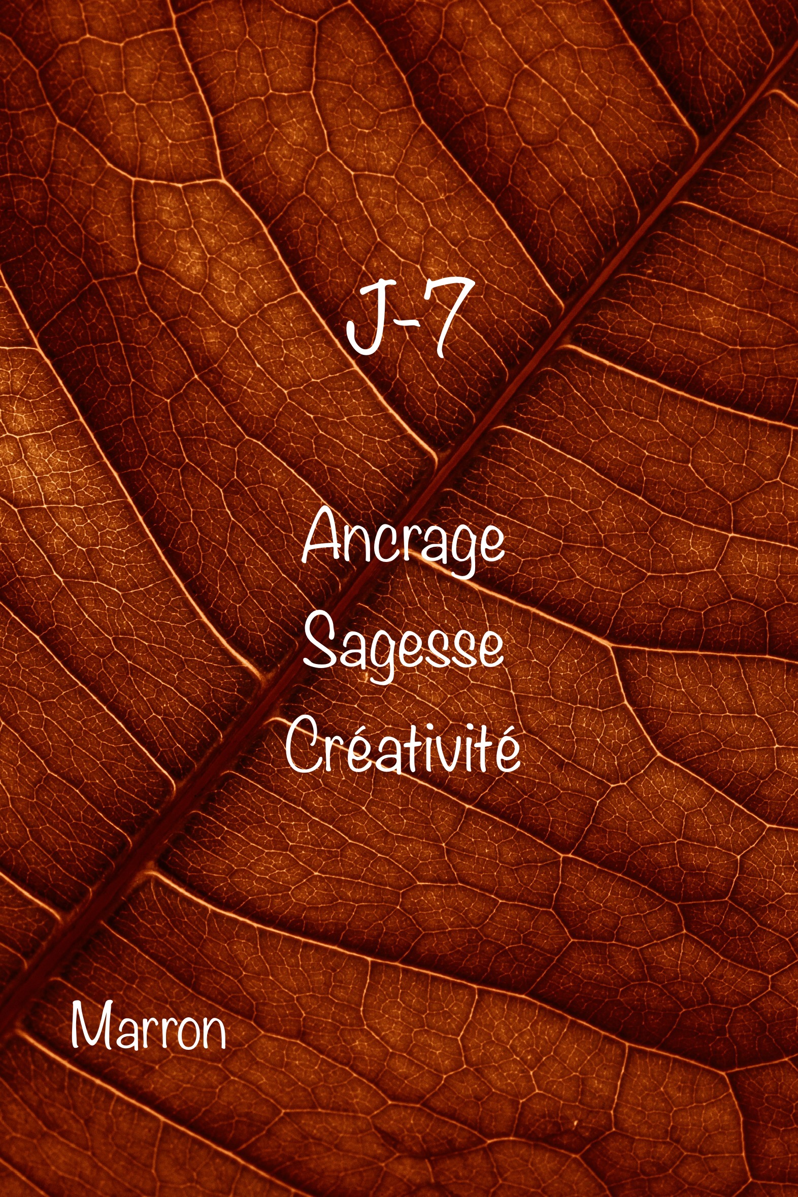 J-7 « Marron » Posez des limites…