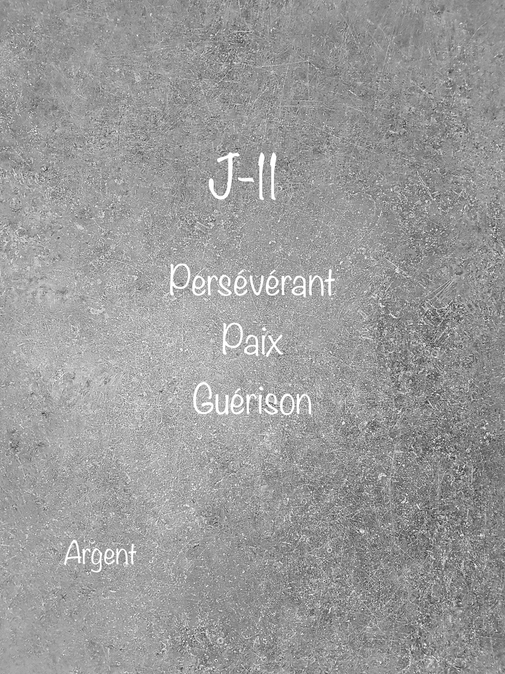 J-11 « Argent » Soyez persévérant..